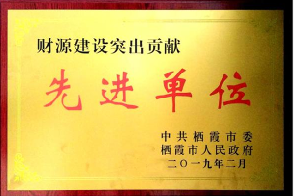财(cai)源建設(she)突出貢(gong)獻先進(jin)單位