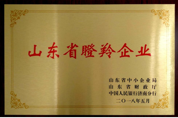 山東(dong)省瞪羚(ling)企業