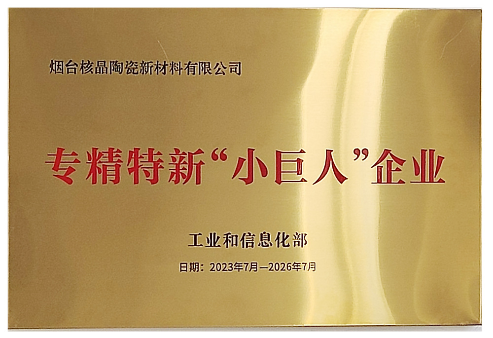 專(zhuan)精特新(xin)“小巨人(ren)”企業